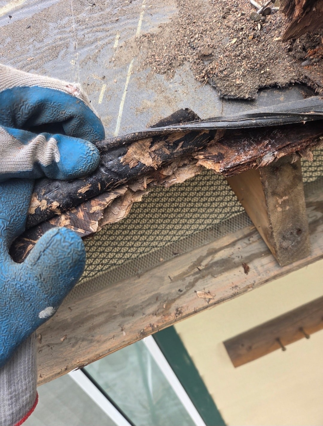 Roof Inspections